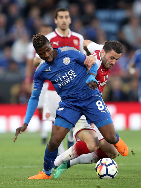 功引入欧洲 功引入欧洲