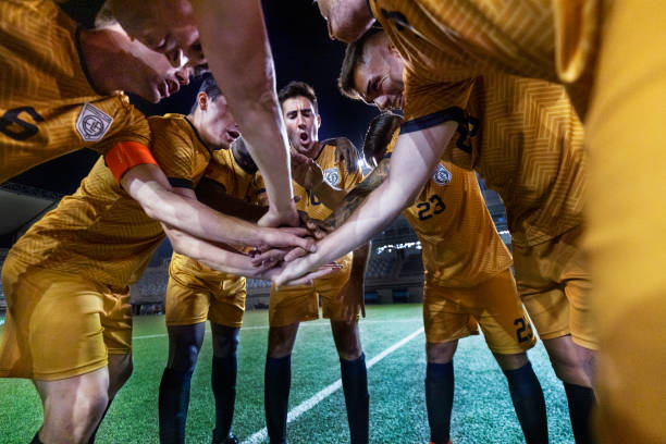 包括全面解 包括全面解